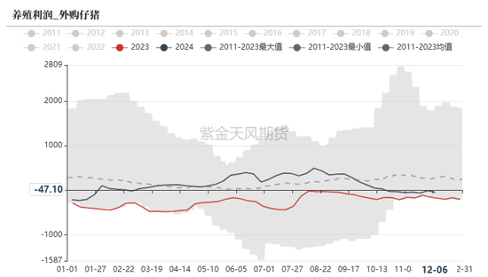 玉米：静待花开